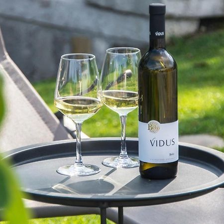 Apartment Vidus Wine Estate Podnanos Ngoại thất bức ảnh