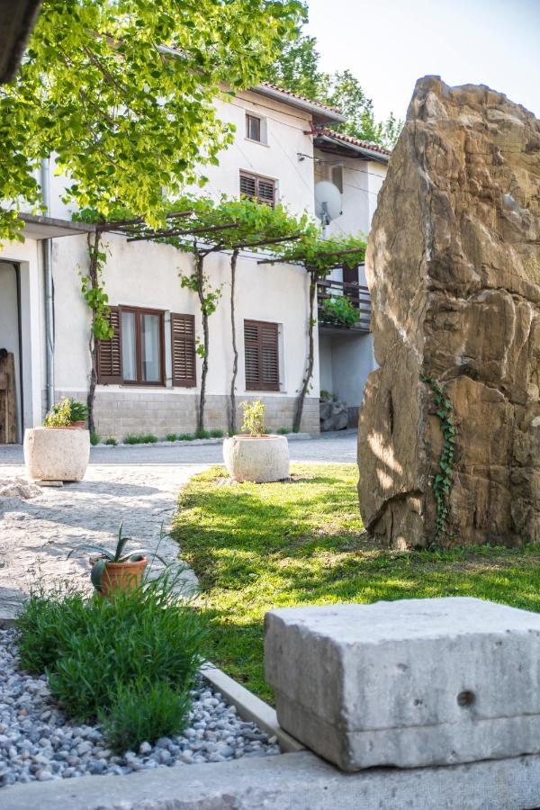 Apartment Vidus Wine Estate Podnanos Ngoại thất bức ảnh