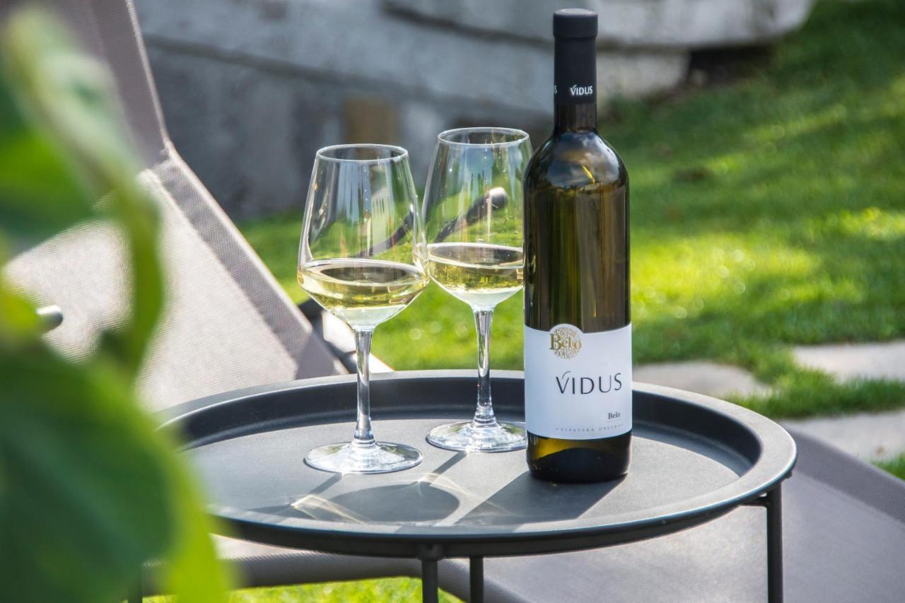 Apartment Vidus Wine Estate Podnanos Ngoại thất bức ảnh