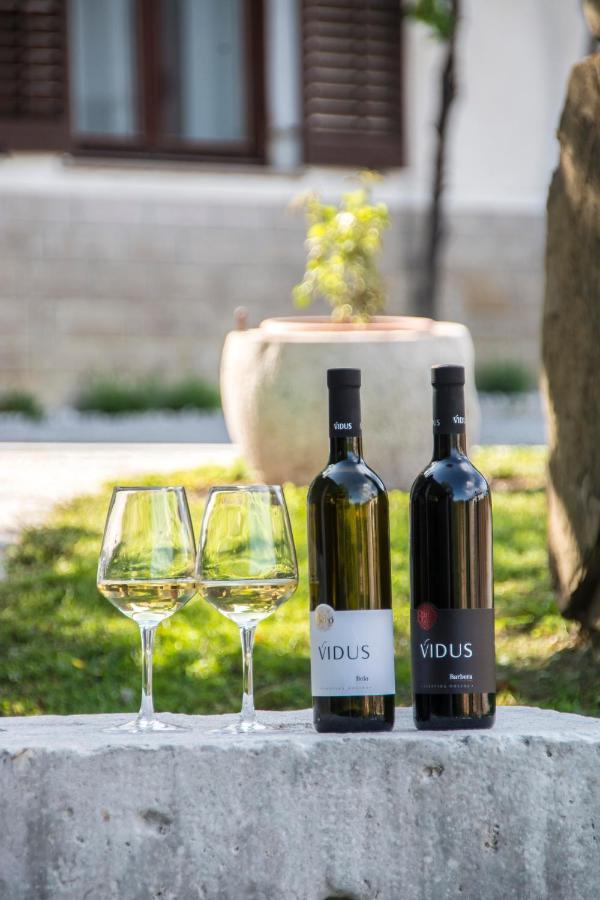 Apartment Vidus Wine Estate Podnanos Ngoại thất bức ảnh