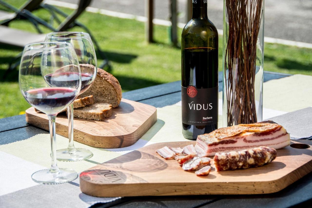 Apartment Vidus Wine Estate Podnanos Ngoại thất bức ảnh