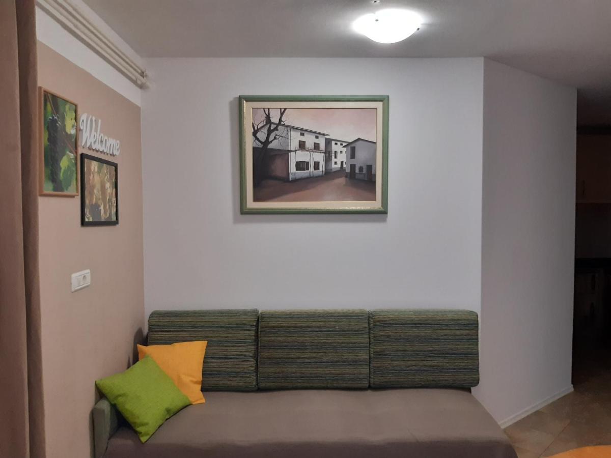 Apartment Vidus Wine Estate Podnanos Ngoại thất bức ảnh