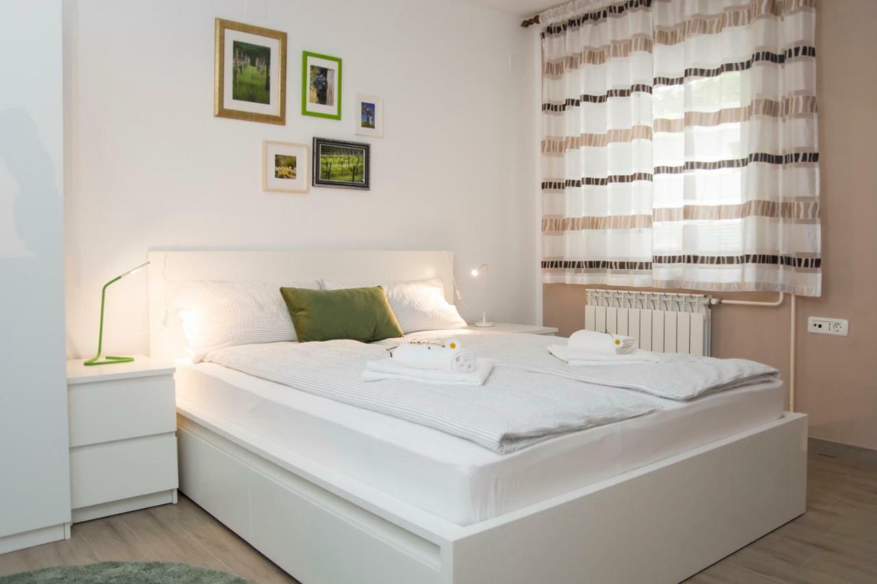 Apartment Vidus Wine Estate Podnanos Ngoại thất bức ảnh